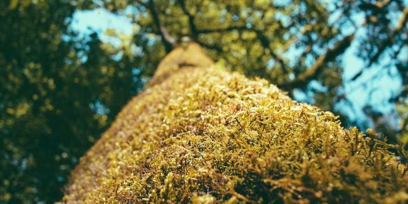 一位女性使用智能手机查看健康App，背景中显示周期图表和健康提示