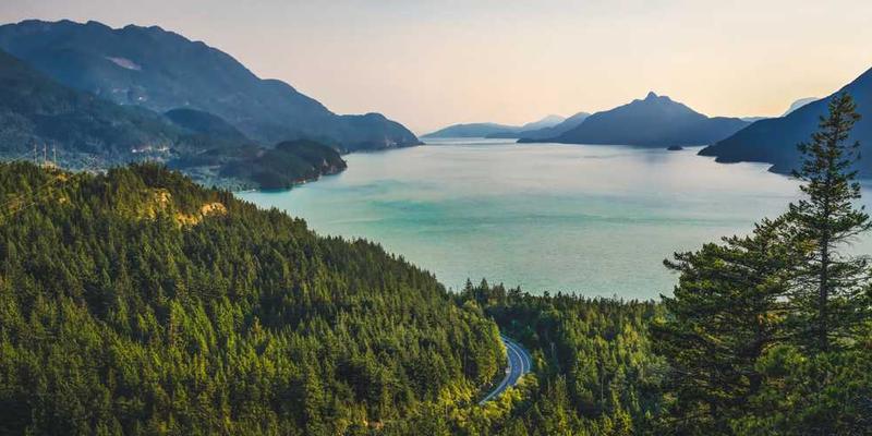 观察并记录一天中瞳孔对光线变化的自动调节与情绪关联