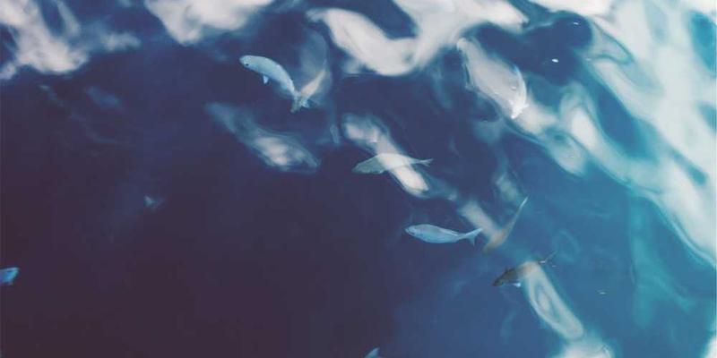 研究 ICU 病房的墙体,是否发展出了一种特殊的“生死节奏”隔音层