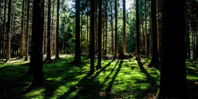 说明：一位中年男士在公园散步，他脸上带着微笑，虽然身体有慢性不适，但他的生活态度积极乐观。