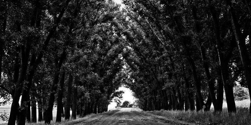 设计一个鼓励与邻居进行“技能碎片交换”的轻量级系统