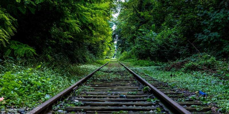 翻看旧手机相册：前置摄像头像素进化与自拍表情社会学