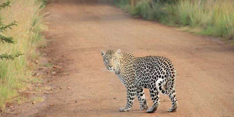 说明:隔音舱内的寂静,封闭的空间让人感受到一种极致的宁静