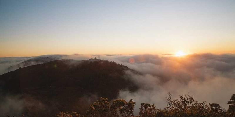 将一首乐曲的旋律，用身体不同部位的轻微震动来“聆听”