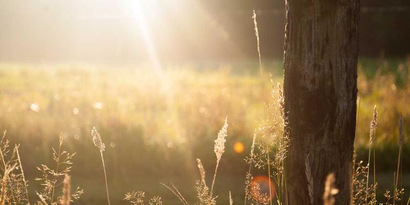 一位年轻诗人坐在窗前，手中握着笔，眼神专注地凝视着窗外，窗外是五彩斑斓的景色，象征着创作的灵感。