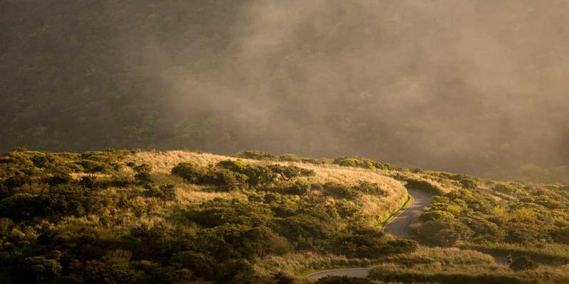 思考:我的“直觉”是不是只是积累的偏见在高速运算