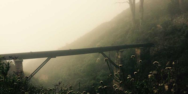 一群运动员在运动场上高呼口号,背景是热烈的人群和激动的情绪。说明:运动中的口号,象征团队精神与力量。