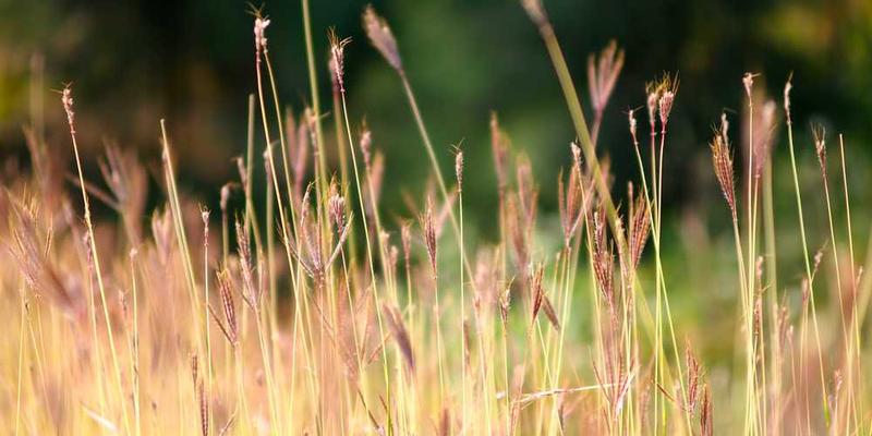 一张展示书籍“社交关系图”的示意图，节点为书籍封面，连线为箭头，表示书籍之间的联系