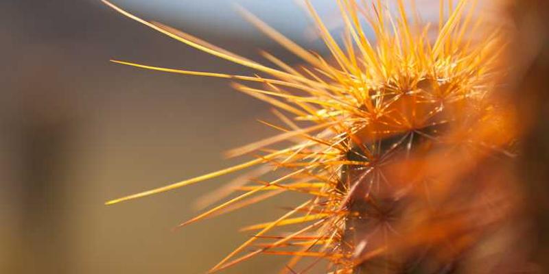 把破碎的镜子碎片收集起来,拼凑出一幅“断裂的自我凝视”神像