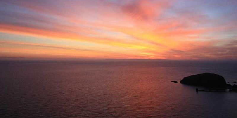 一幅表现科学家进行逆向思维，手绘一幅量子计算机原理图