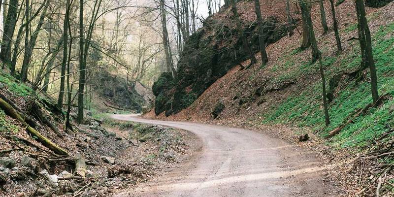一家人在客厅里围坐在电脑前，笑容满面，共享线上时光，展现家庭温馨氛围