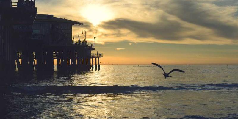 个人“信息食谱”周报：分析摄入的资讯营养是否均衡还是垃圾过剩。