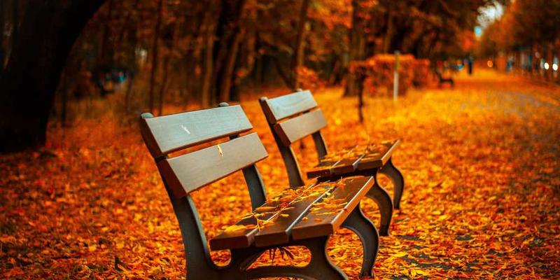 计算观看一场三流电影所花费的两小时,如果用于发呆,其“机会成本”孰高孰低