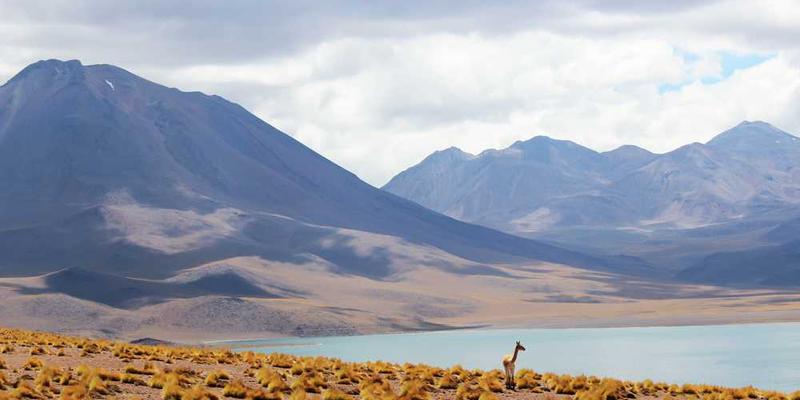 生物黑客初级尝试:从睡眠监测到补剂,我亲测了哪些有效?