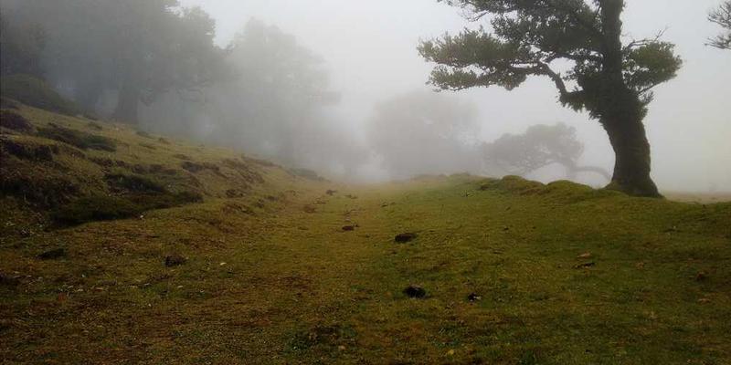 一位AI通过三维眼镜观察设计方案,周围散布着简单的线条与文字。说明:AI设计方案下的世界,线条简约却蕴含丰富。