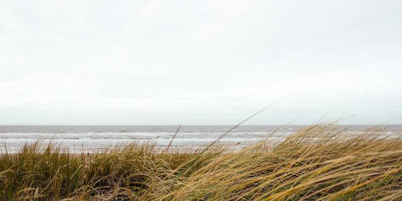 一位年轻人坐在电脑前，手中拿着笔，脸上露出轻松的笑容，背景是充满创意和幽默感的“失败日更”海报