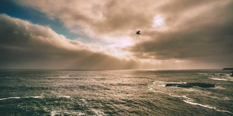 寓意开放、交流与探索的场景