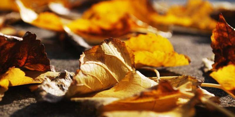 博物馆中展示的这块石头，周围围绕着众多参观者