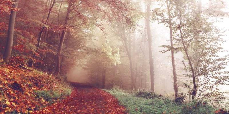 一张展现复古风格的街头摄影，例如一位穿着复古服饰的年轻人走在时尚的都市街头，背景为复古装饰的建筑或海报