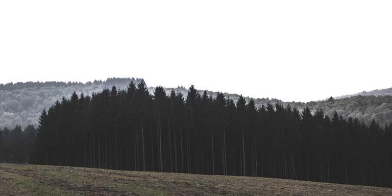 钥匙与锁孔的私密关系：经年累月磨合出的、独一无二的物理契合。