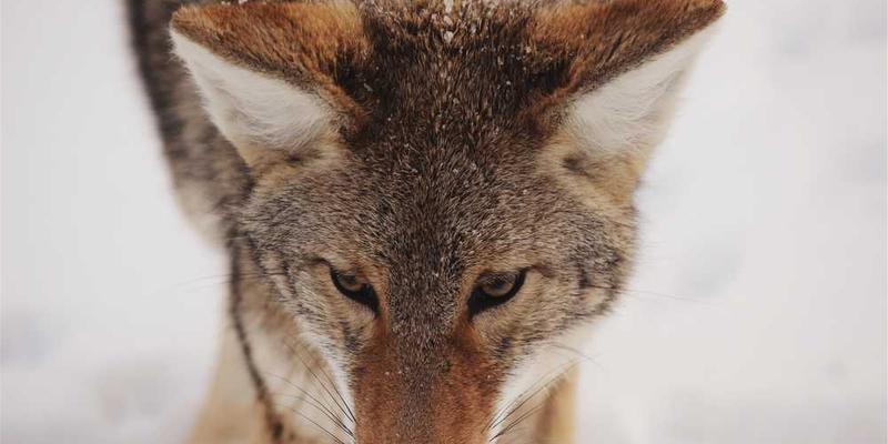 构建“100分物品”标准：我的购买决策检查表