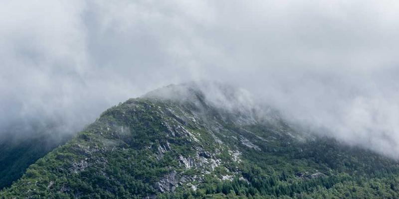 人类最后的诗人，她的工作是向AI解释“为什么落日会让你想哭”