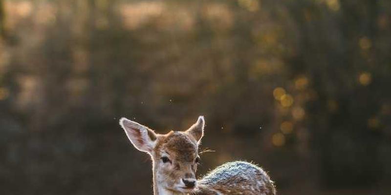 云邮科技电子邮件签名迭代发布会现场,工作人员展示产品,观众认真聆听