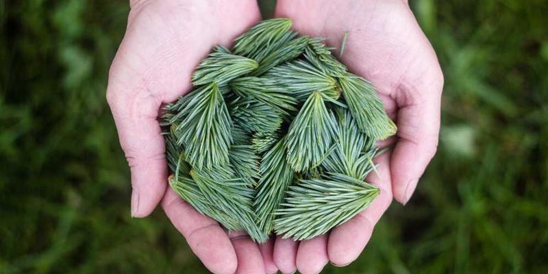 法国巴黎蒙马特菜市场,各种进口食材和法式糕点琳琅满目,散发出浪漫的气息