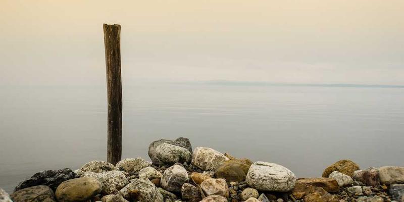 一个冰箱的侧面，冰箱门微微打开，里面放着各种食物，背景是温馨的家庭客厅