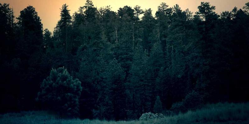 一位年轻人正在用智能手表进行健身训练,背景中有一个模拟偶像声音的AI设备