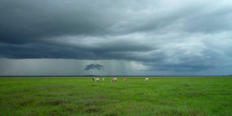 职场“软技能”硬核提升:倾听、提问与反馈的刻意练习