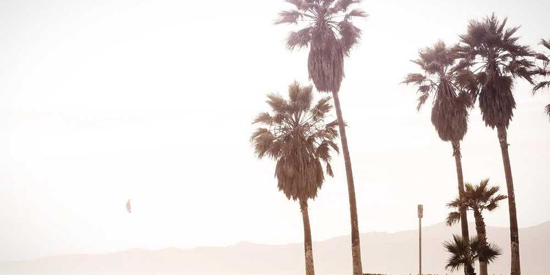 中年时期的照片，笑容中透露出从容和满足，如同一首温暖的民谣