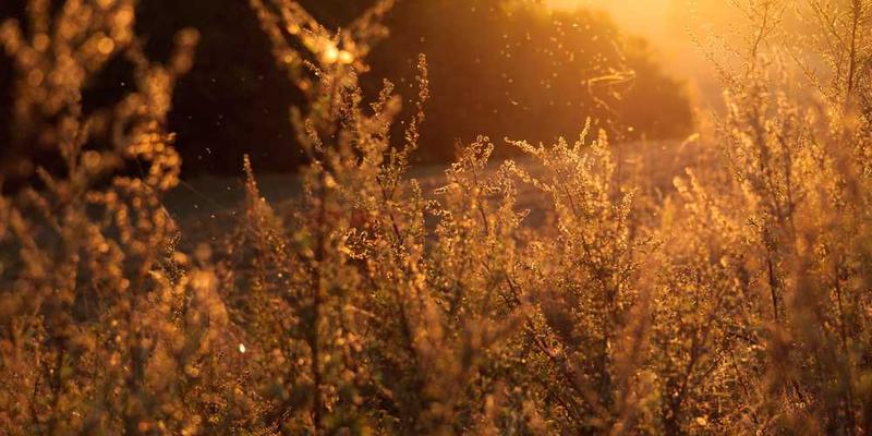 冬季温暖的室内环境,与寒冷的室外形成鲜明对比,体现室内温度对起床困难症的影响