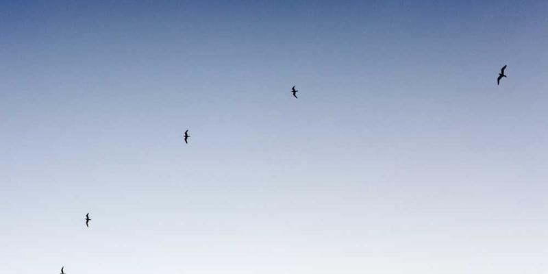 旧家具翻新教程：给柜子刷漆换色的详细步骤