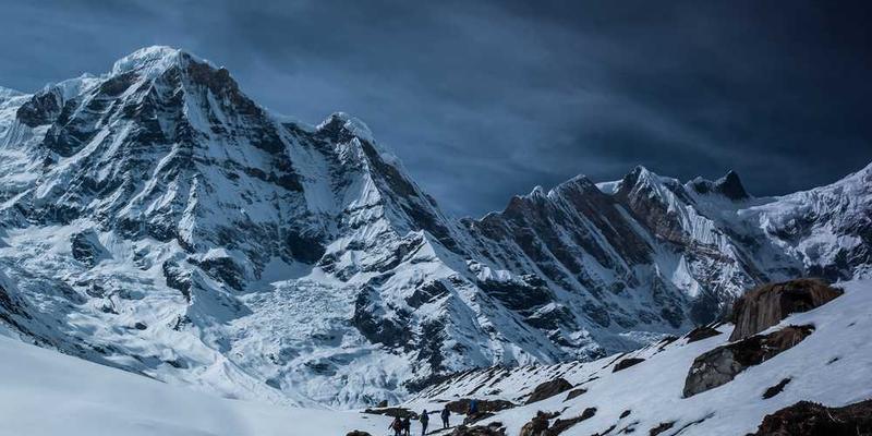 一个精致小巧的盆景，枝叶繁茂，层次分明，寓意着对宏大主题的精巧修剪