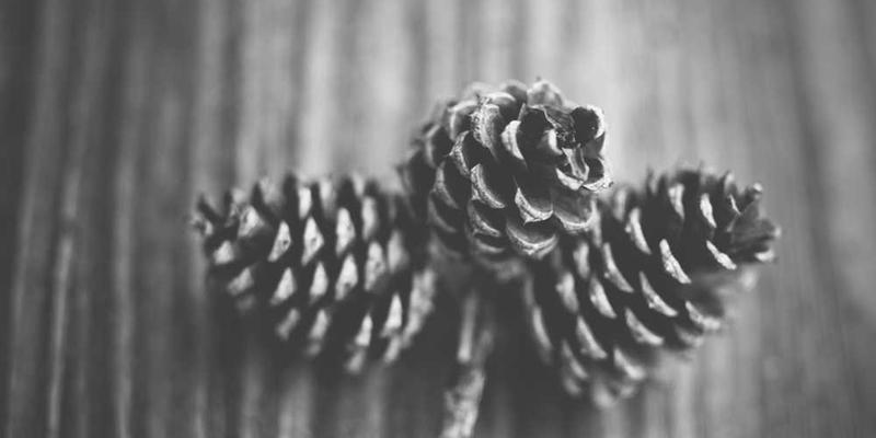 扫地机器人被困在椅子下时的绝望圆周运动与最终节能休眠。