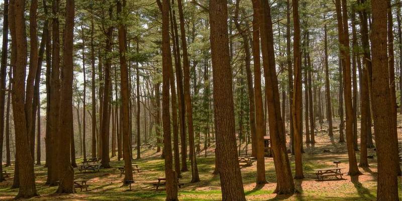 一片璀璨星空,天空中布满了闪烁的星星,远处有流星划过,一个人站在星空之下,仰望天空,表情庄严而深思。