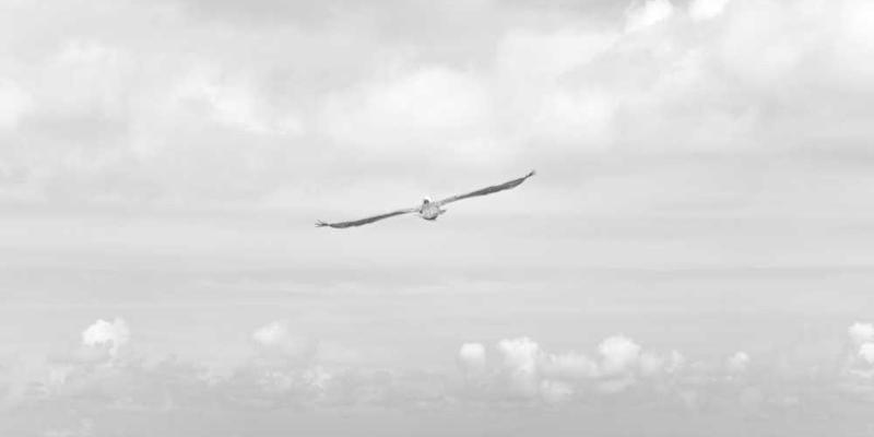 一位年轻人穿着独特风格的服装，自信地走在街头