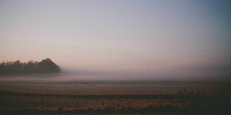 城市路灯的群体智能：它们如何接力点亮，又彼此守望沉默的夜晚？