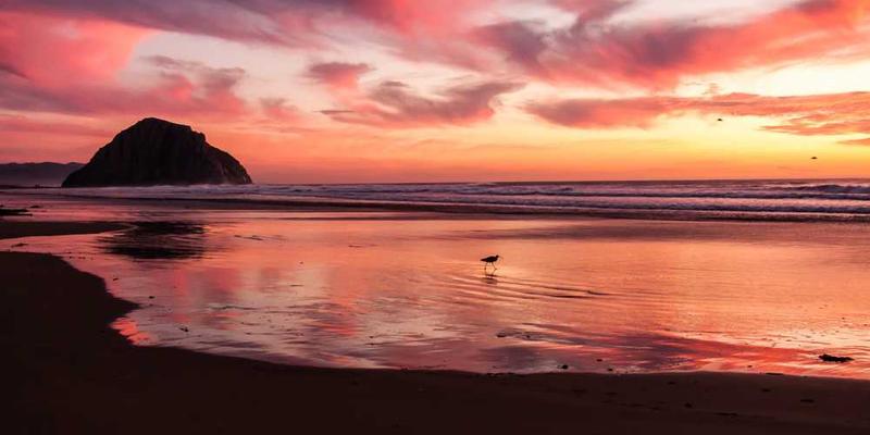 将工资到账短信截图，归档入名为“生存凭证”的相册文件夹。