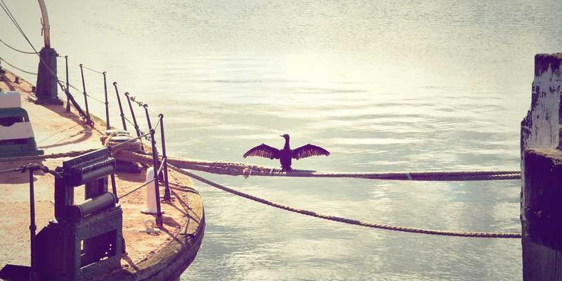 最终问题：如果AI的终极目标是理解一切，那么它理解了“不理解”本身，是否就算完成了目标