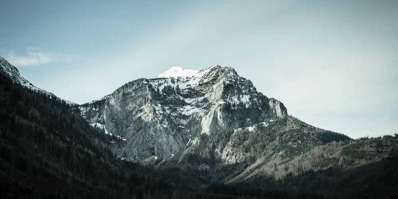 繁忙的墨西哥科约阿坎菜市场,色彩斑斓的蔬菜和水果、新鲜的肉类和海鲜,以及熙熙攘攘的人群