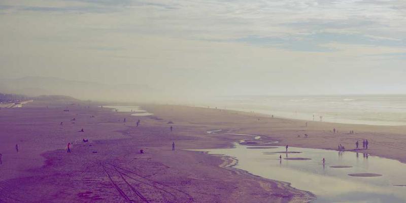 一朵植物，叶片上生长着独特的纹理，背景为阳光照射下的家庭团聚场景