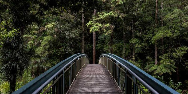 离婚登记处外的停车场:从法律到情感完全解耦前的最后物理交集。