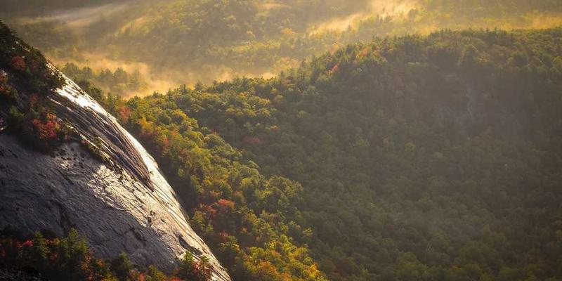 口腔健康全景护理：从电动牙刷到牙线进阶的完整方案