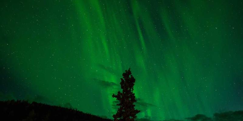 说明：信息遗迹博物馆内展示的一幅描绘已被证伪理论的图片，背景为博物馆内部陈设，展品丰富多样，观众正在参观